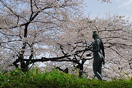 千鳥ケ淵への側道より